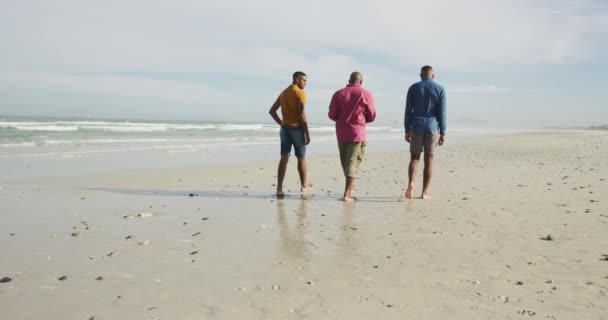 Afrykański Starszy Ojciec Bliźniacy Nastoletni Synowie Spacerujący Plaży Rozmawiający Zdrowy — Wideo stockowe