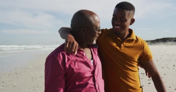 Afrykański Starszy Ojciec Nastoletni Syn Stojący Plaży Obejmujący Mówiący Zdrowy — Wideo stockowe