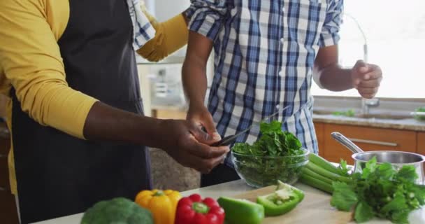 非裔美国老人父亲和两个成年儿子站在厨房做饭 吃饭和聊天 健康的户外运动时间 — 图库视频影像
