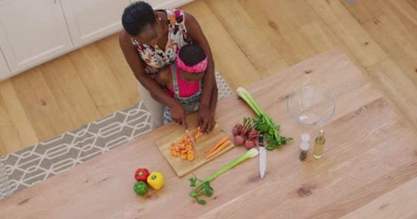 Blick Von Oben Auf Eine Afrikanisch Amerikanische Mutter Und Tochter — Stockvideo
