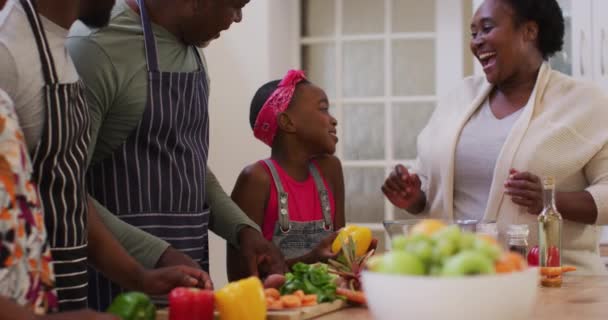 Drei Generationen Afrikanisch Amerikanische Familie Zusammen Lächelnd Der Küche Hause — Stockvideo