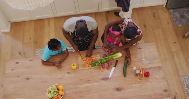 三代非洲裔美国人在家里厨房切蔬菜的头像 团聚和幸福的概念 — 图库视频影像
