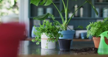 Evdeki masada çoklu saksı ve su püskürtücü şişesinin görüntüsü. ev bahçesi konsepti