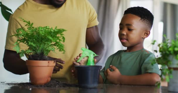 Afro Amerikaanse Vader Zoon Bewateren Planten Pot High Fiving Elkaar — Stockvideo