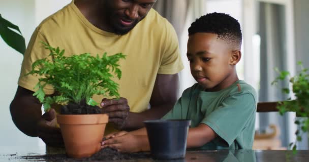 Rapaz Afro Americano Adicionar Solo Novo Vaso Das Plantas Casa — Vídeo de Stock