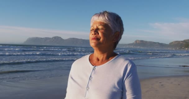 Mujer Afroamericana Mayor Caminando Relajándose Playa Tiempo Ocio Aire Libre — Vídeo de stock