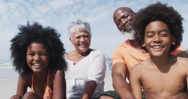 Retrato Casal Misto Sénior Com Netos Sentados Sorrindo Sorrindo Praia — Vídeo de Stock