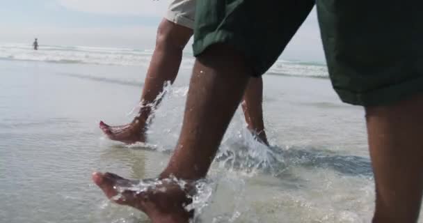 Mixte Couple Senior Marche Tient Main Plage Loisirs Plein Air — Video