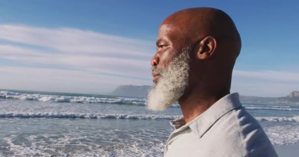 Senior African American Man Standing Beach Admiring View Healthy Outdoor — Stock Video