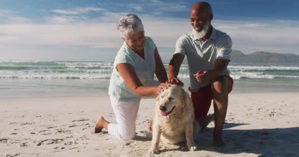 Cuplu African American Vârstă Mângâind Câine Plajă Timp Liber Sănătos — Videoclip de stoc