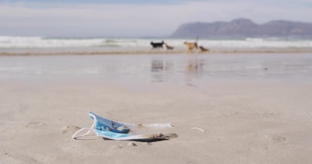 Маска Обличчя Лежить Піску Пляжі Хвилями Задньому Плані Збереження Екологічного — стокове відео