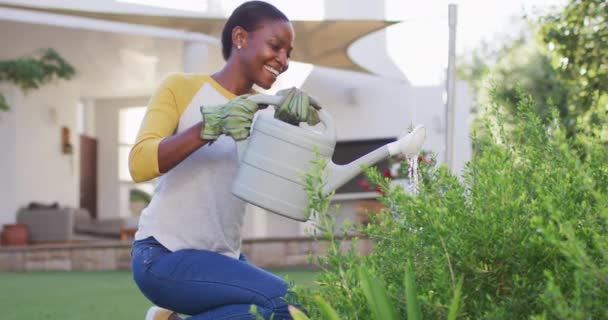 Heureuse Femme Afro Américaine Jardinage Arrosage Des Plantes Dans Jardin — Video