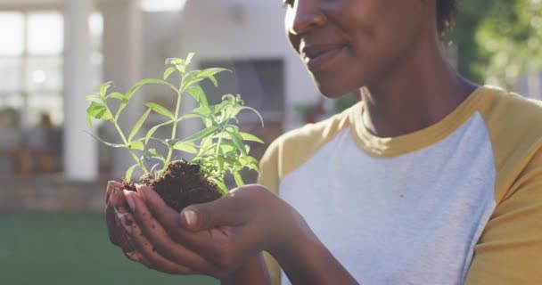 Feliz Jardín Femenino Afroamericano Sosteniendo Oliendo Planta Jardín Permanecer Casa — Vídeos de Stock