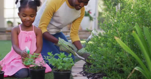 Gelukkige Afrikaanse Amerikaanse Moeder Dochter Tuinieren Planten Besproeien Planten Tuin — Stockvideo