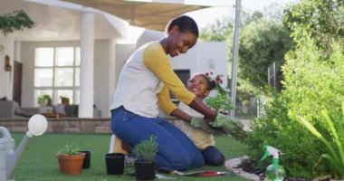 Mutlu Afro-Amerikan anne-kız bahçıvanlığı, bahçeye bitki ekme. Karantina süresince evde tek başına kalmak..