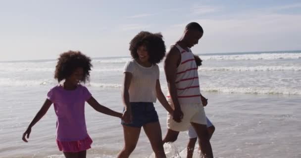 Lächelnde Afrikanisch Amerikanische Eltern Und Ihre Kinder Die Strand Spazieren — Stockvideo