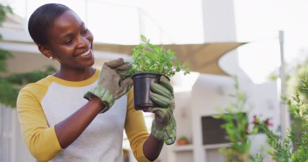 Boldog Afro Amerikai Kertészkedik Marihuána Növény Kertben Karantén Lezárása Alatt — Stock videók