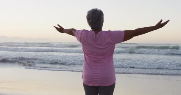 Bakre Över Afrikansk Amerikansk Seniorkvinna Med Öppna Armar Stående Stranden — Stockvideo