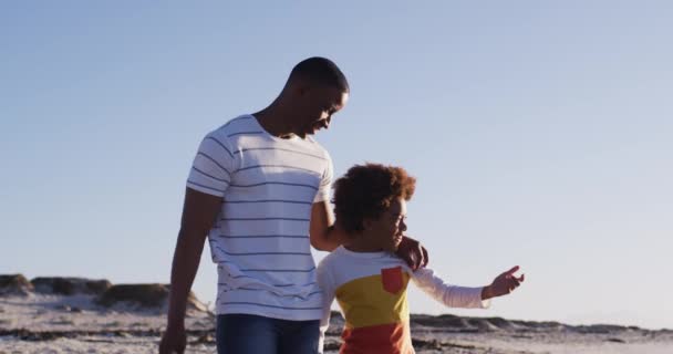 Afroamerikanische Vater Und Sohn Genießen Die Aussicht Während Sie Strand — Stockvideo