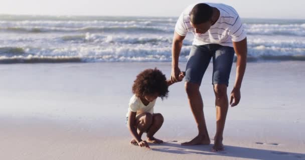 Père Fille Afro Américains Ramassant Des Coquillages Sur Sable Ensemble — Video