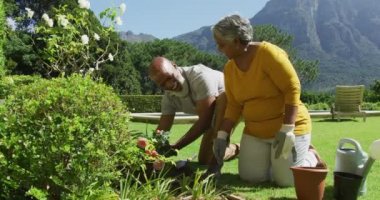 Açık güneşli bir günde bahçede bahçeyle uğraşırken gülümseyen Afrikalı Amerikalı son sınıf öğrencisi çift. emekli çift yaşam tarzı konsepti