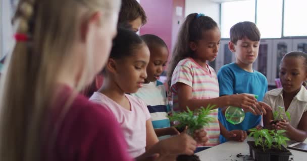 Diverse Group Happy Schoolchildren Looking Plants Classroom Nature Studies Lesson — Stock Video