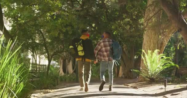 Back View Two Happy Mixed Race Gay Male Couple Walking — Stock Video