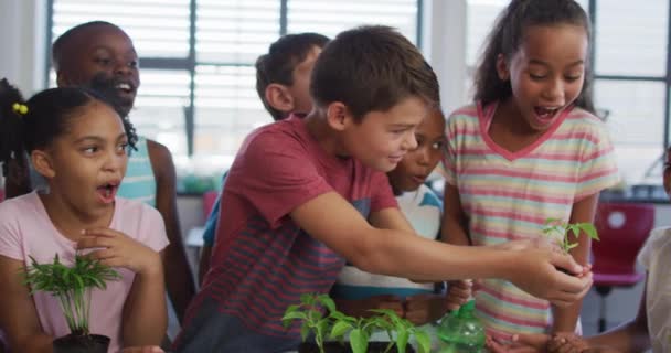 自然の中で授業中に教室で植物の世話をする幸せな子供たちの多様なグループ 夏の小学校の子どもたちは — ストック動画