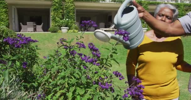 Afro Amerikaanse Senior Man Glimlachend Terwijl Hij Planten Water Geeft — Stockvideo