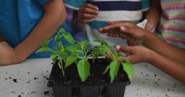 Różnorodna Grupa Szczęśliwych Uczniów Opiekujących Się Roślinami Klasie Podczas Lekcji — Wideo stockowe