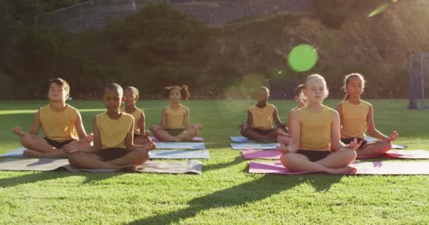 在室外瑜伽课上 不同类型的学童坐在垫子上沉思 夏天上小学的儿童 — 图库视频影像
