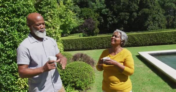 Pareja Afroamericana Mayor Hablando Sosteniendo Tazas Soleado Jardín Jubilación Estilo — Vídeos de Stock