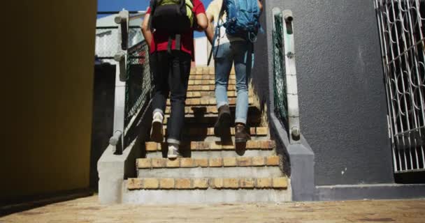 Visão Traseira Dois Amigos Mestiços Caminhando Cima Conversando Mochila Férias — Vídeo de Stock