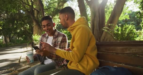 Deux Heureux Amis Masculins Métis Assis Utilisant Smartphone Dans Parc — Video