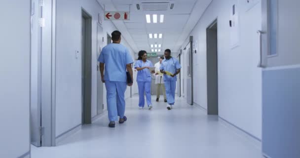 Αφροαμερικανοί Γιατροί Συζητούν Περπατώντας Στο Διάδρομο Του Νοσοκομείου Ιατρικές Υγειονομικές — Αρχείο Βίντεο
