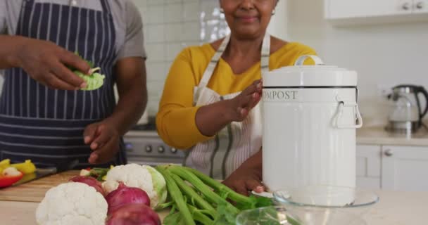 Afro Amerikaans Seniorenpaar Doet Gehakte Groenten Een Tiffinekistje Keuken Thuis — Stockvideo