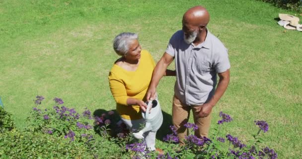 庭で一緒に植物に水をやりながら アフリカ系アメリカ人の高齢者のカップル笑顔 定年退職したシニアカップルのライフスタイルのコンセプト — ストック動画