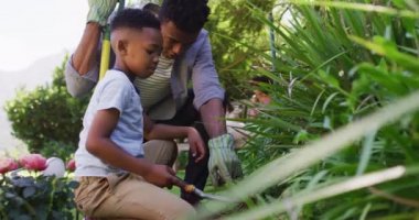 Mutlu Afro-Amerikan baba ve oğlu, bitkilerle ilgileniyor. Karantina süresince bahçede tecrit altında kalmak