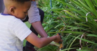 Mutlu Afro-Amerikan baba ve oğlu, bitkilerle ilgileniyor. Karantina süresince bahçede tecrit altında kalmak