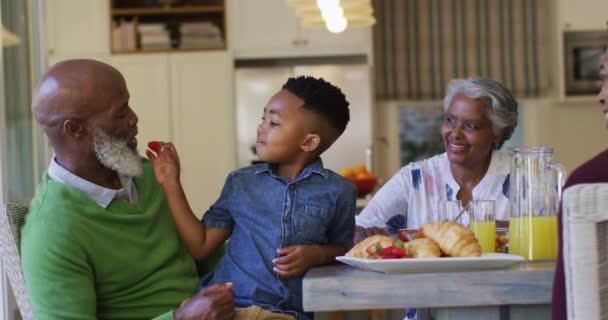 非洲裔美国男孩坐在自家的腿上 一边给祖父吃草莓 爱情和融合的概念 — 图库视频影像