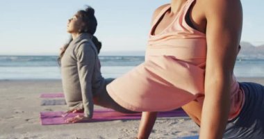 Yoga yapan, plajda esneme hareketleri yapan bir grup kadın arkadaş. sağlıklı aktif yaşam tarzı, açık hava uygunluğu ve refahı.