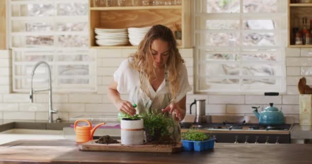 Uśmiechnięta Biała Kobieta Dbająca Doniczkowe Rośliny Stojące Kuchni Domku Zdrowego — Wideo stockowe