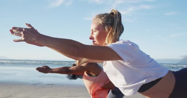 Grupp Olika Kvinnliga Vänner Som Utövar Yoga Stranden Hälsosam Aktiv — Stockvideo