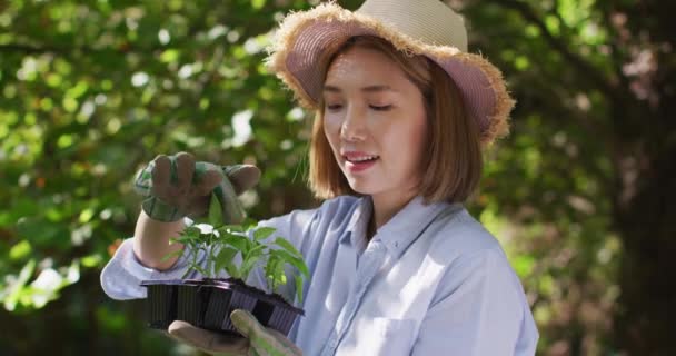 Güneşli Bir Günde Asyalı Kadın Bahçıvanlık Yapıyor Gülümsüyor Karantina Süresince — Stok video