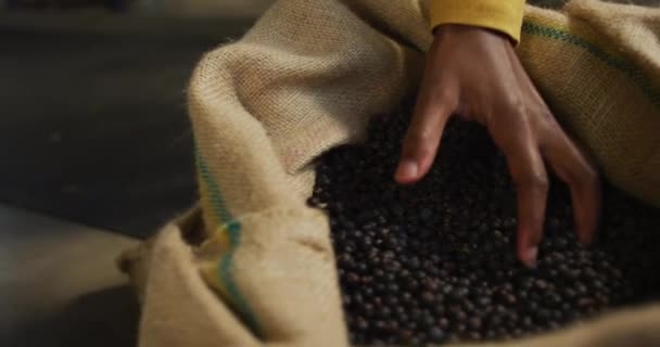 Cin Imalathanesinde Ardıç Meyveleri Meyve Kabuklarını Inceleyen Afrikalı Amerikalı Kadının — Stok video