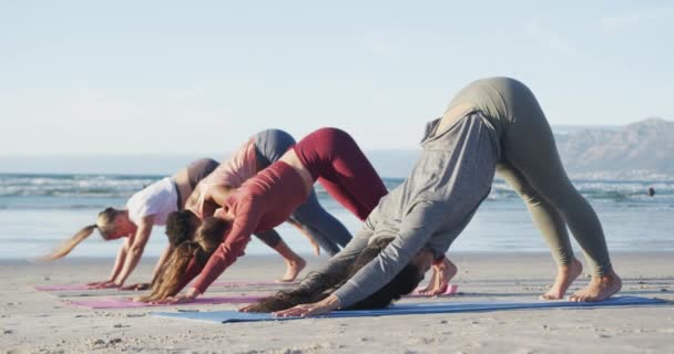 Grupp Olika Kvinnliga Vänner Som Utövar Yoga Stranden Hälsosam Aktiv — Stockvideo