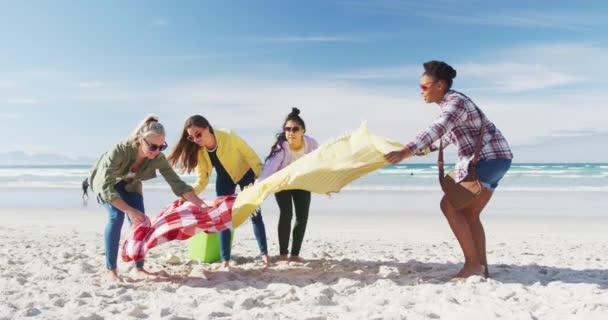 Bir Grup Mutlu Bayan Arkadaş Sahilde Piknik Hazırlıyor Tatil Özgürlük — Stok video