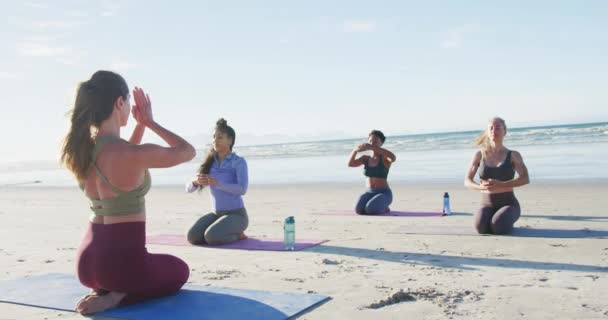 Grupp Kvinnliga Vänner Mediterar Stranden Hälsosam Aktiv Livsstil Utomhus Fitness — Stockvideo