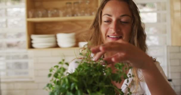 Donna Caucasica Sorridente Che Tocca Pianta Cucina Cottage Vita Sana — Video Stock