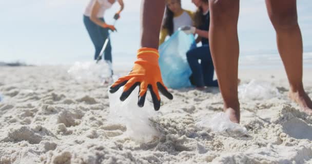 Diverse Freundinnen Werfen Müll Müllsäcke Strand Freiwillige Umweltschützer Säuberung Des — Stockvideo